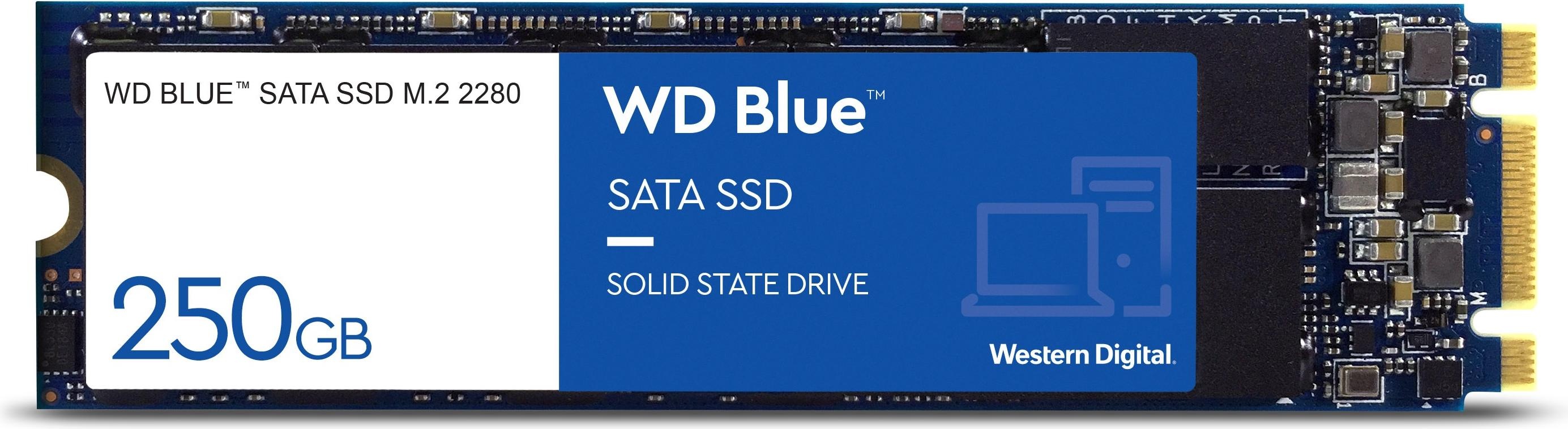 WD Blue™ 250GB Interne M.2 SATA SSD 2280 M.2 SATA 6 Gb/s Retail WDS250G2B0B