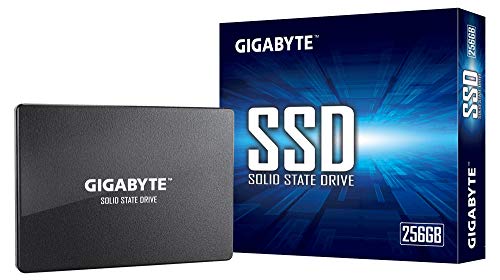 Gigabyte SSD 256GB (GP-GSTFS31256GTND)